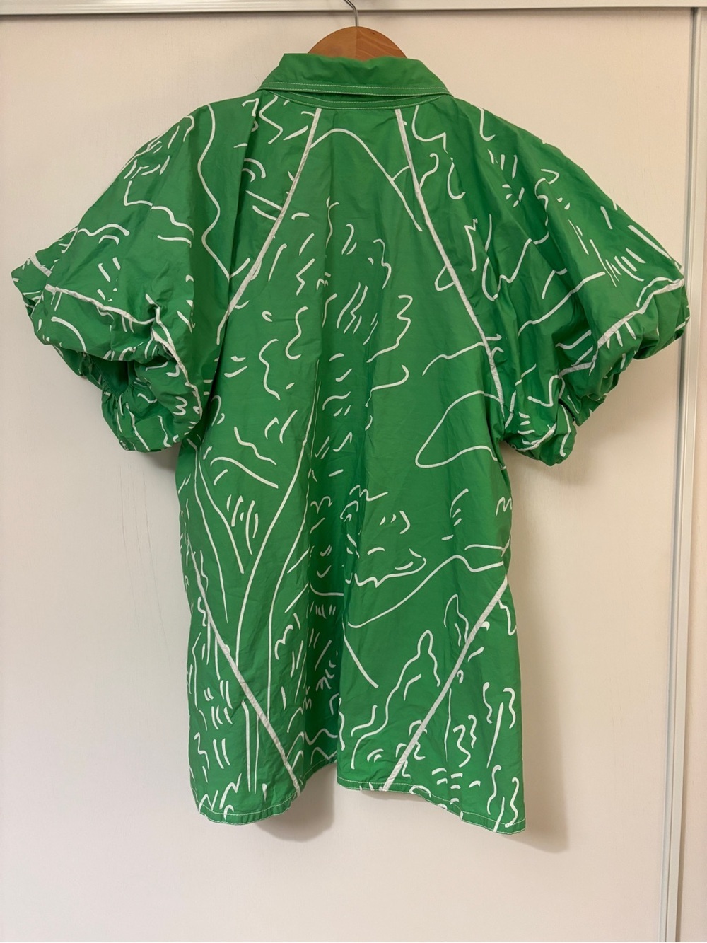 Lovebirds Top Size Large Green Relaxed Dopamine Maximalist Rare Dramatic Puff - Picture 3 of 10